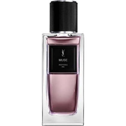 YSL Muse — inspiration reference only