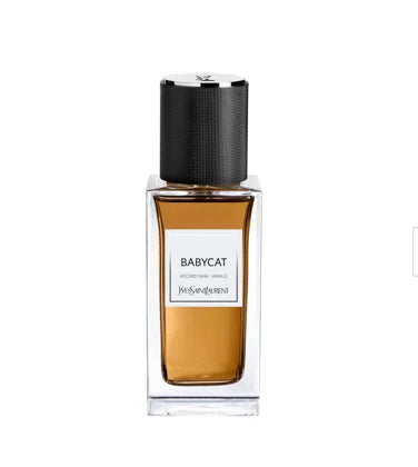 YSL Baby Cat — inspiration reference only