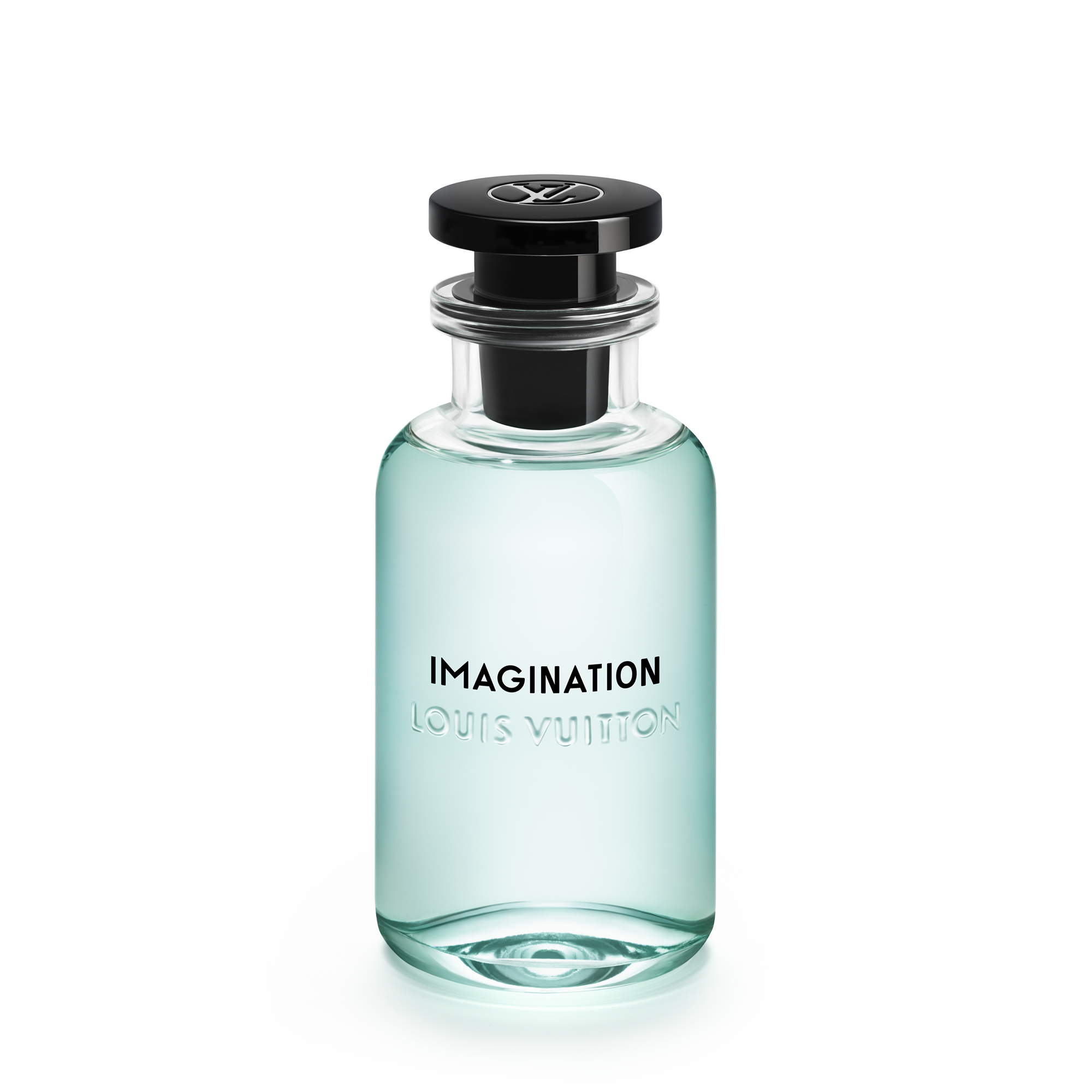 Louis Vuitton Imagination — inspiration reference only