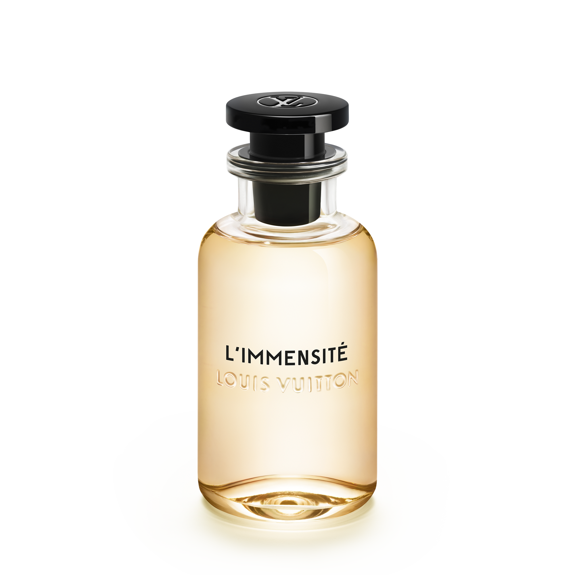 Louis Vuitton L’Immensité — inspiration reference only